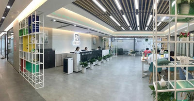 ZSUN CHIPS CO., LTD