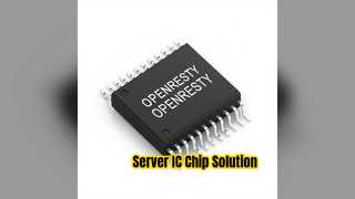 Server IC Chip Openresty 403 Forbidden